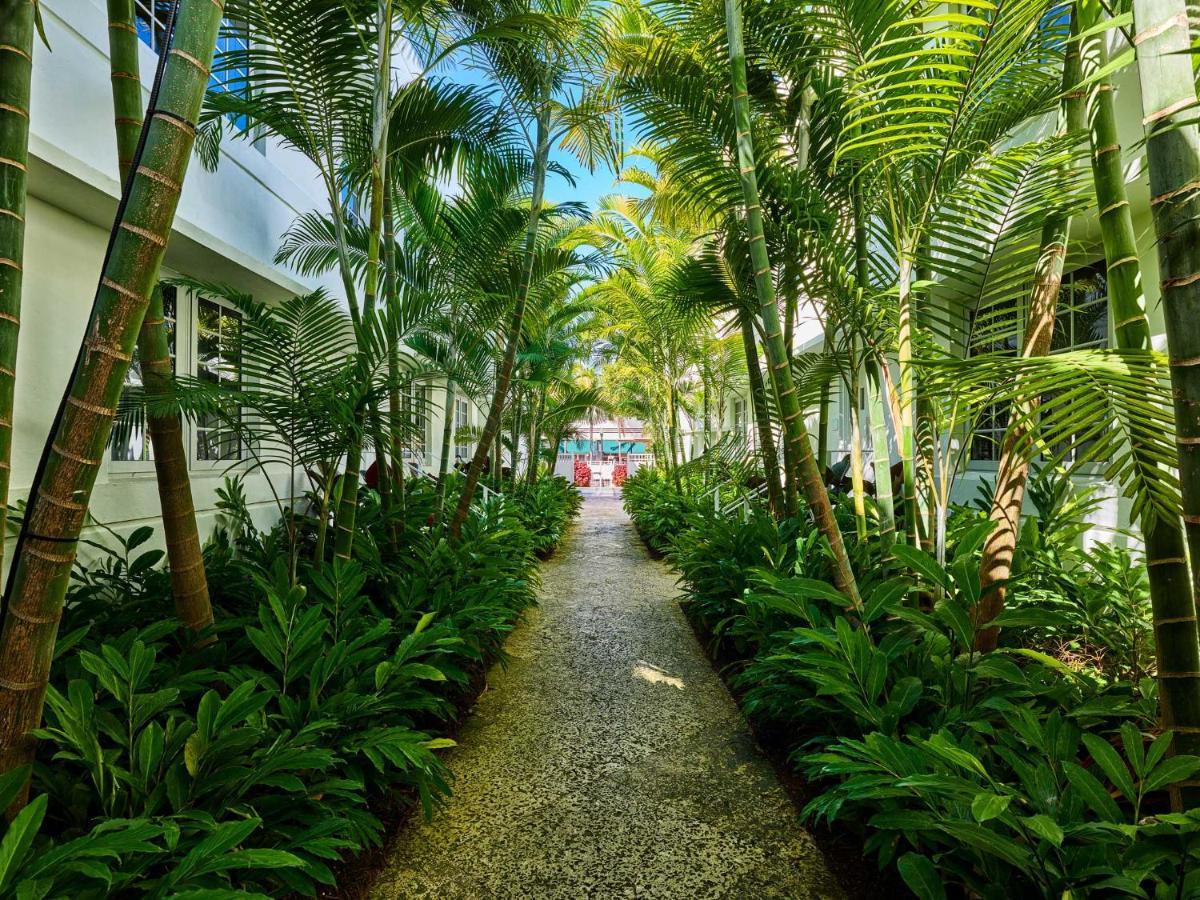 Axel Beach Miami-South Beach - Adults Only Miami Beach Dış mekan fotoğraf